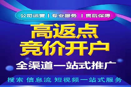 SEM主管实战：数据分析与策略调整